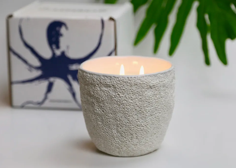 Reef Candle